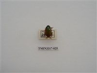 藏品(黃豔金龜)的圖片